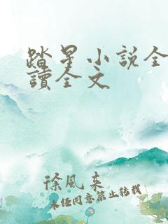 踏星小说全文阅读全文