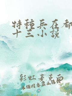 特种兵在都市夜十三小说