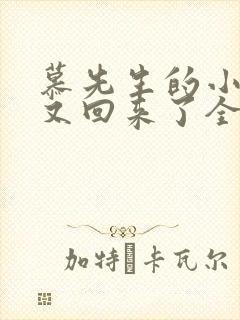 慕先生的小撩精又回来了全文免费阅读