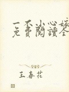 一不小心嫁总裁免费阅读全文