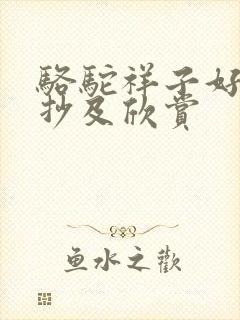 骆驼祥子好段摘抄及欣赏