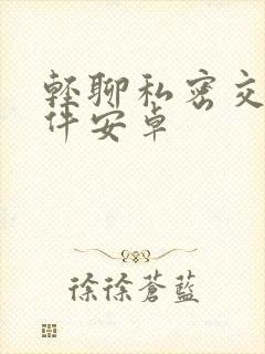 轻聊私密交友软件安卓