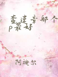 查违章哪个app最好