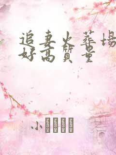 追妻火葬场文笔好高质量