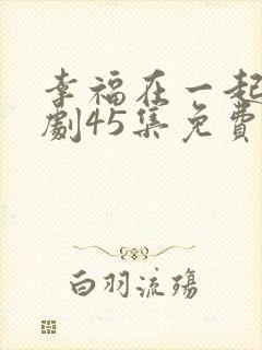 幸福在一起电视剧45集免费观看