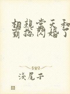 相亲当天和豪门霸总闪婚了完整版