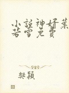 小说神婿叶凡唐若雪免费