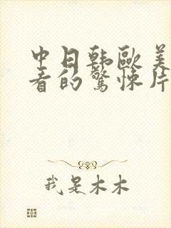 中日韩欧美免费看的惊悚片电视剧