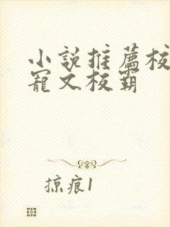 小说推荐校园甜宠文校霸