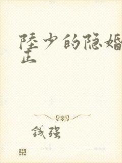 陆少的隐婚罪妻正