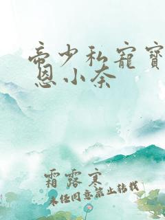 帝少私宠宝贝妻 恩小奈