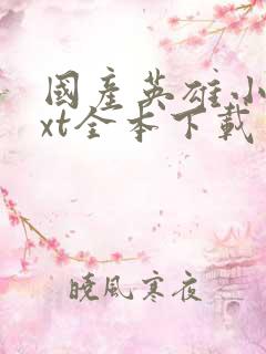 国产英雄小说txt全本下载
