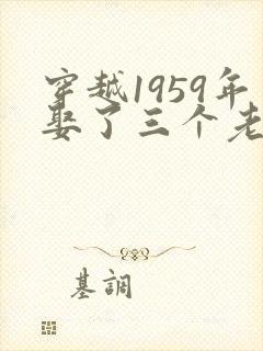 穿越1959年娶了三个老婆的小说免费阅