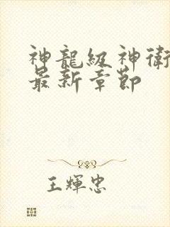 神龙级神卫沈浪最新章节