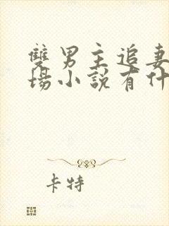 双男主追妻火葬场小说有什么