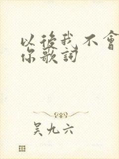 以后我不会再爱你歌词