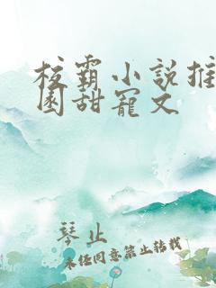 校霸小说推荐校园甜宠文