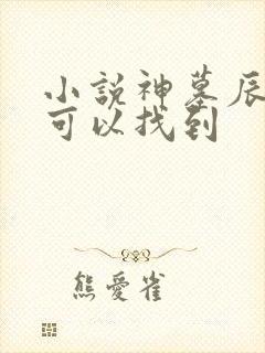 小说神墓辰东哪可以找到