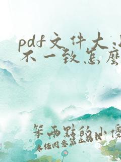 pdf文件大小不一致怎么调整