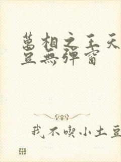 万相之王天蚕土豆无弹窗