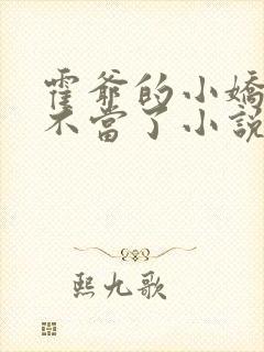 霍爷的小娇妻我不当了小说阅读全文