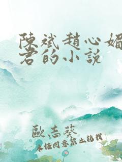 陈斌赵心媚高婉君的小说