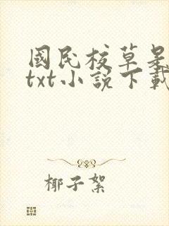 国民校草是女生txt小说下载