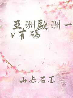 亚洲欧洲一区av有码