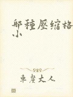 哪种压缩格式最小