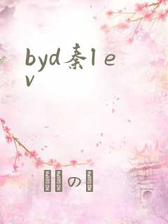 byd秦l ev
