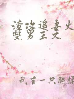 渣攻追妻火葬场双男主文