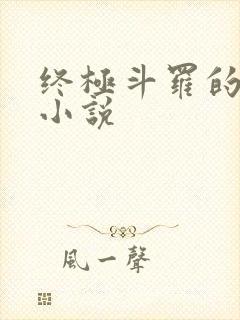 终极斗罗的同人小说