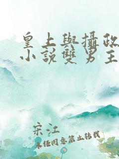 皇上与摄政王的小说双男主