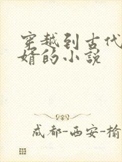 穿越到古代当赘婿的小说