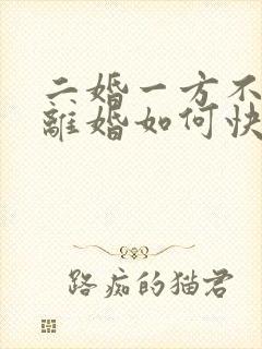 二婚一方不愿意离婚如何快速离