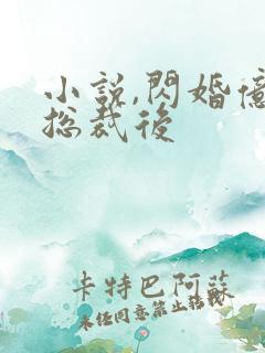 小说,闪婚亿万总裁后