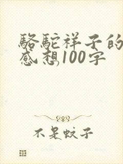 骆驼祥子的读后感想100字