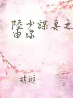 陆少谋妻之婚不由你