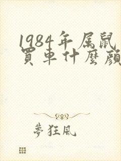 1984年属鼠买车什么颜色最好
