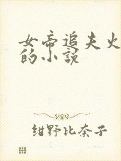 女帝追夫火葬场的小说