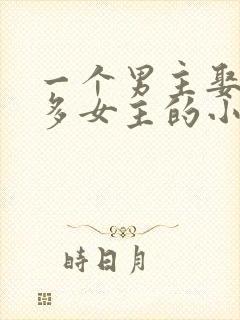 一个男主娶了很多女主的小说