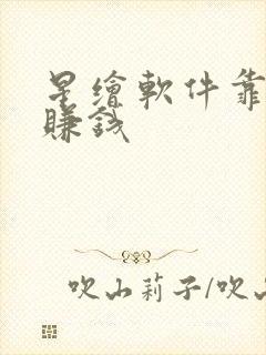 星绘软件靠什么赚钱