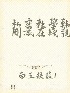 私密教学韩漫无删减在线观看