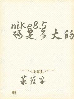 nike8.5码是多大的鞋