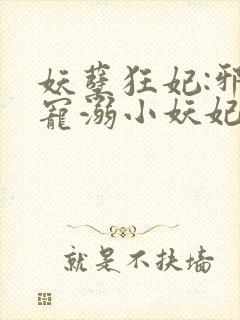 妖孽狂妃:邪君宠溺小妖妃