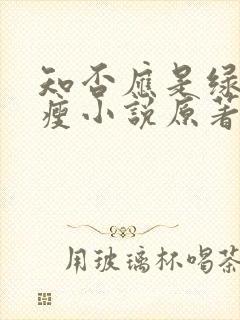 知否应是绿肥红瘦小说原著