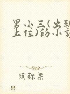 男小三(出轨,上位)的小说