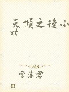 天倾之后小说txt