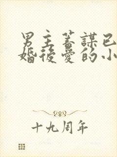 男主蓄谋已久先婚后爱的小甜文