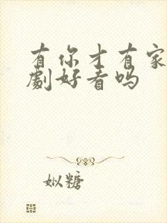 有你才有家电视剧好看吗